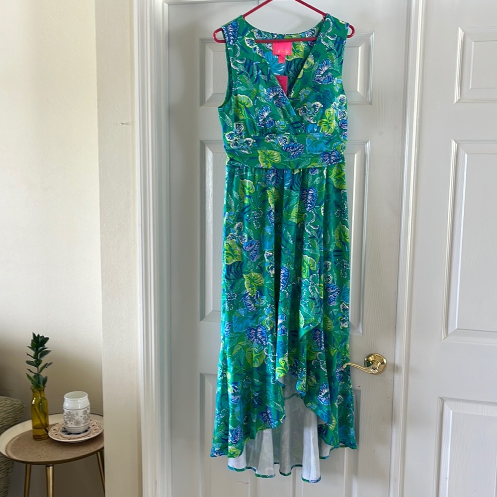 Lily Pulitzer dress - Picture 1 of 12
